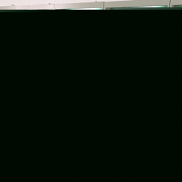 雷诺实验装置,-LN雷诺实验装置