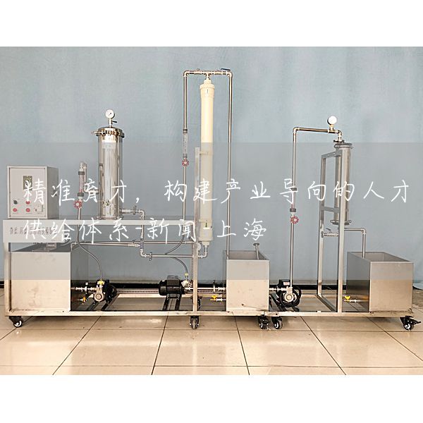 精准育才，构建产业导向的人才供给体系-新